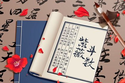 为何称作斗数